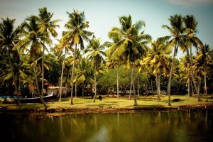 New Kerala Lottery App: Complete 2027 Guide for Indian Players